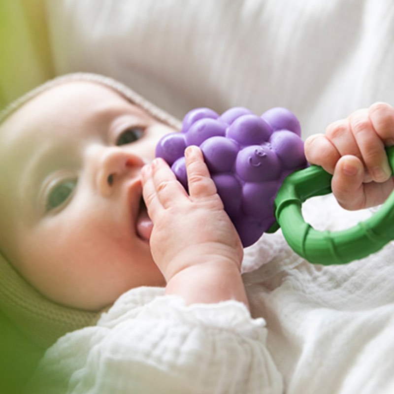 Pack Regalo Bebé Sonajero + 2 Mordedores Oli&Carol - Aúpa Organics