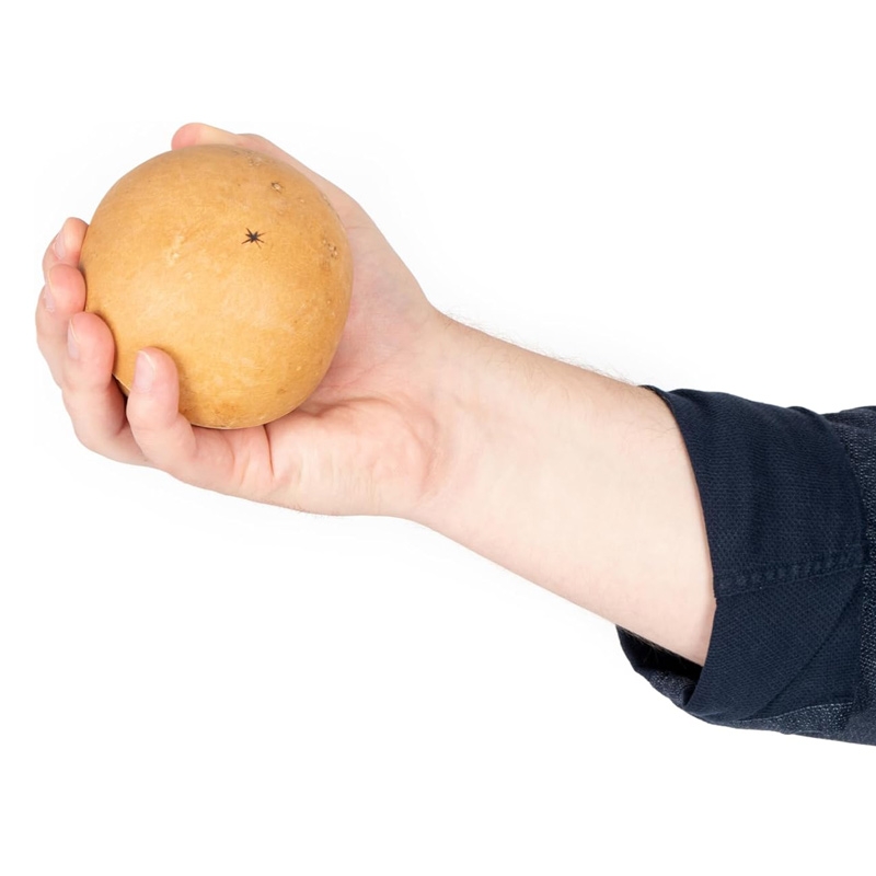 Sonajero Natural de Coco XL - Aúpa Organics