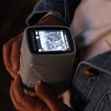 Cámara Infantil de Visión Nocturna KIDYVISION KIDYWOLF - Aúpa Organics