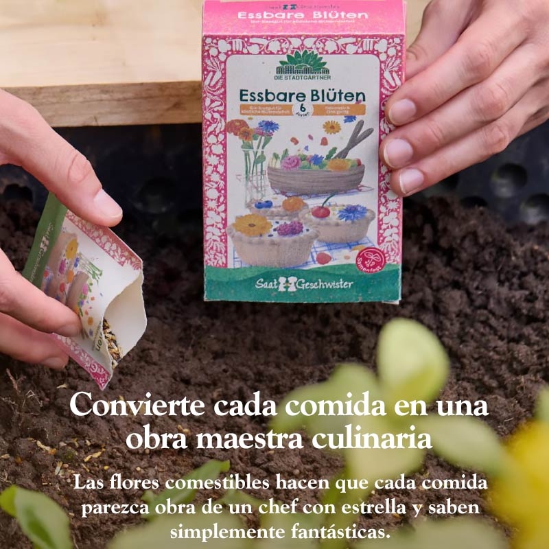 Kit Semillas Flores Comestibles Ecológicas Huerto y Cocina - Aúpa Organics