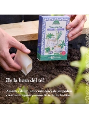 Kit Semillas Té de Hierbas Ecológicas Huerto y Cocina - Aúpa Organics