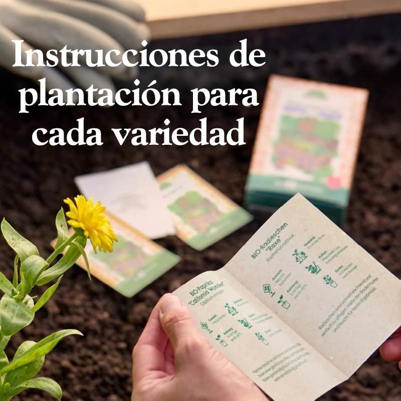 Kit Semillas Té de Hierbas Ecológicas Huerto y Cocina - Aúpa Organics