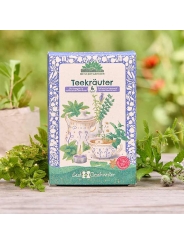 Kit Semillas Té de Hierbas Ecológicas Huerto y Cocina - Aúpa Organics