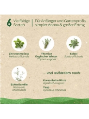 Kit Semillas Té de Hierbas Ecológicas Huerto y Cocina - Aúpa Organics