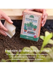 Kit Semillas Hierbas Aromáticas Ecológicas Huerto y Cocina - Aúpa Organics