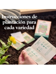 Kit Semillas Hierbas Aromáticas Ecológicas Huerto y Cocina - Aúpa Organics