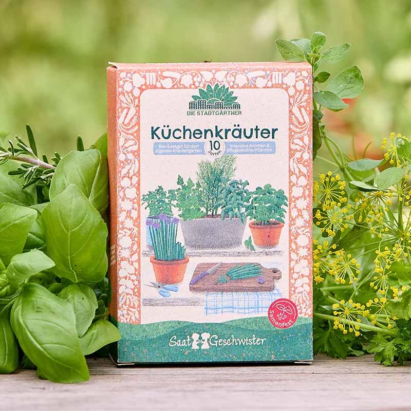 Kit Semillas Hierbas Aromáticas Ecológicas Huerto y Cocina - Aúpa Organics