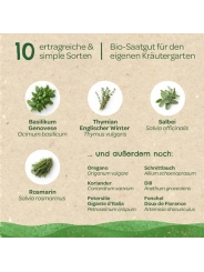 Kit Semillas Hierbas Aromáticas Ecológicas Huerto y Cocina - Aúpa Organics