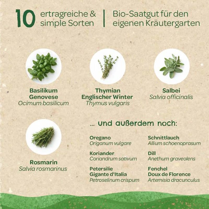 Kit Semillas Hierbas Aromáticas Ecológicas Huerto y Cocina - Aúpa Organics