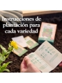 Kit Semillas Verduras Ecológicas Huerto y Cocina - Aúpa Organics
