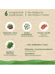 Kit Semillas Verduras Ecológicas Huerto y Cocina - Aúpa Organics