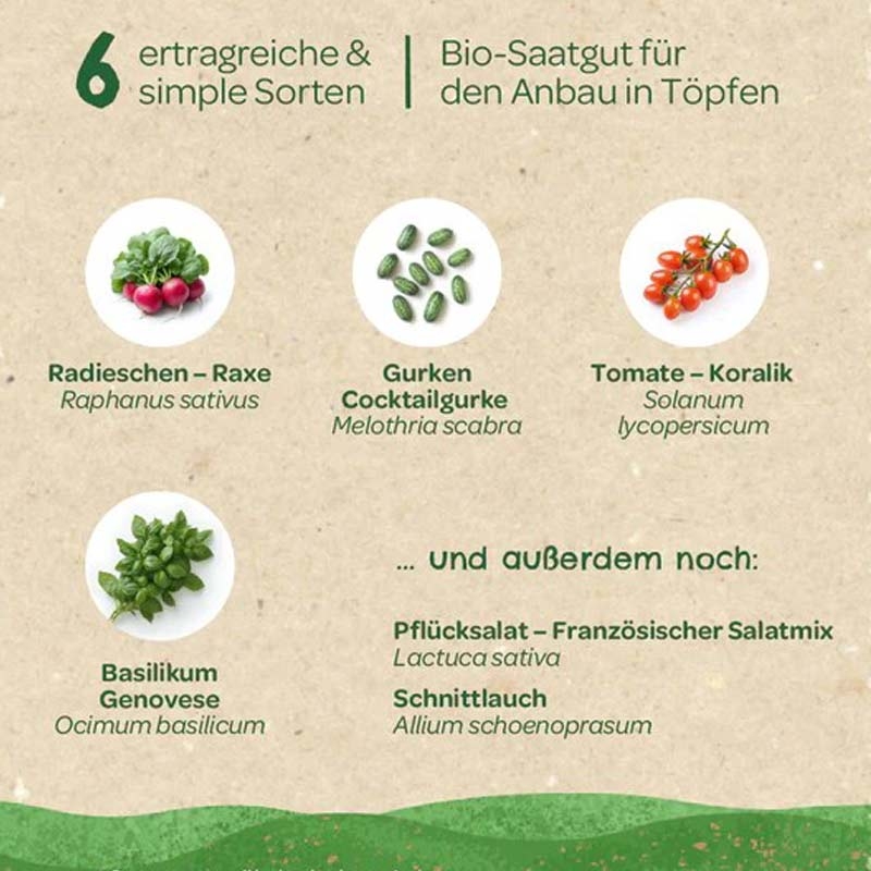 Kit Semillas Verduras Ecológicas Huerto y Cocina - Aúpa Organics