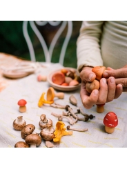Set de Setas de Madera "Mushroom Grove" de Grapat - Aúpa Organics