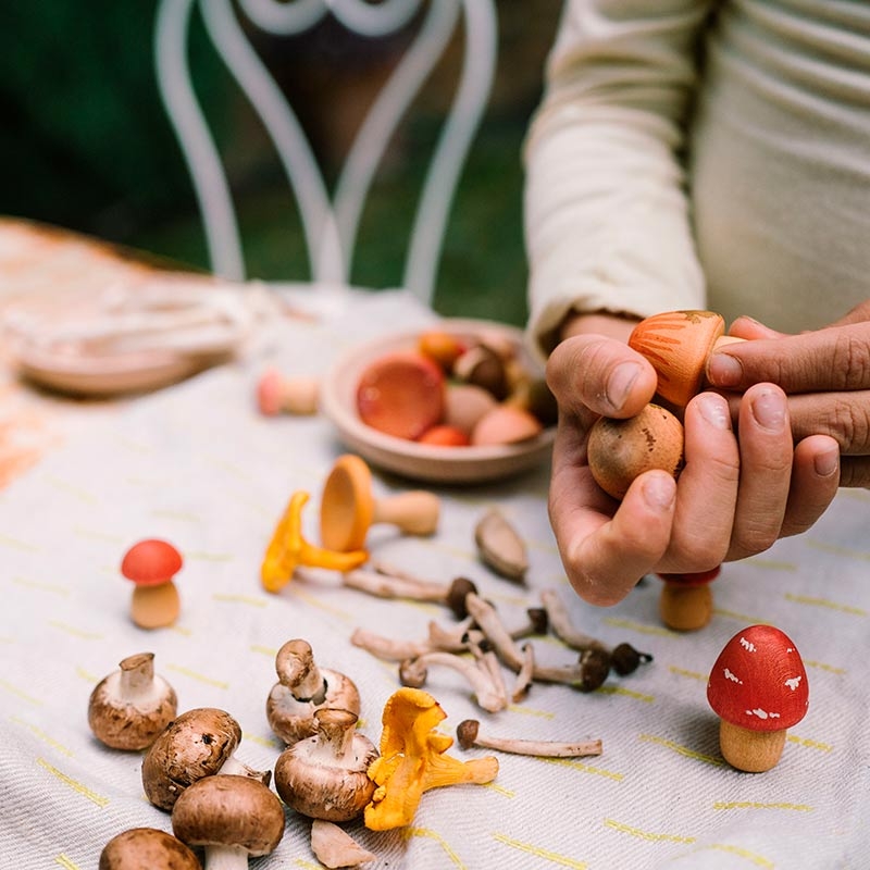 Set de Setas de Madera "Mushroom Grove" de Grapat - Aúpa Organics