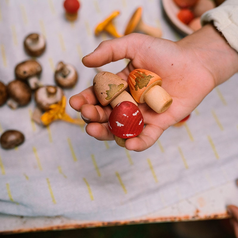 Set de Setas de Madera "Mushroom Grove" de Grapat - Aúpa Organics