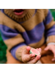 Set de Frutas de Madera "Fruits" de Grapat - Aúpa Organics