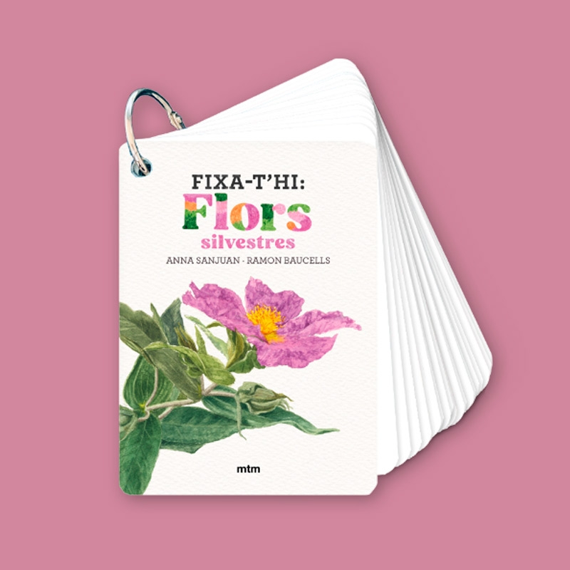 Fixa’t-hi: flors silvestres. Guia visual per conèixer les flors silvestres - Aúpa Organics