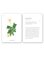 Fixa’t-hi: flors silvestres. Guia visual per conèixer les flors silvestres - Aúpa Organics