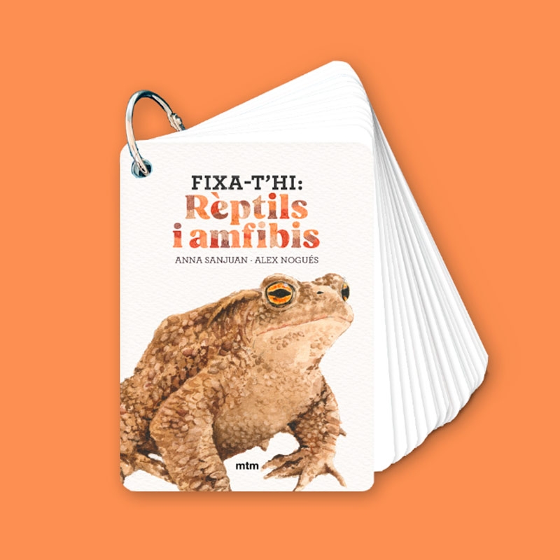 Fixa’t-hi: rèptils i amfibis. Guia visual per conèixer els rèptils i amfibis - Aúpa Organics