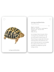 Fixa’t-hi: rèptils i amfibis. Guia visual per conèixer els rèptils i amfibis - Aúpa Organics