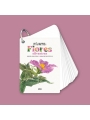 Fíjate: flores silvestres. Guía visual para reconocer flores silvestres - Aúpa Organics
