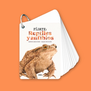 Fíjate: reptiles y anfibios. Guía visual para reconocer reptiles y anfibios - Aúpa Organics