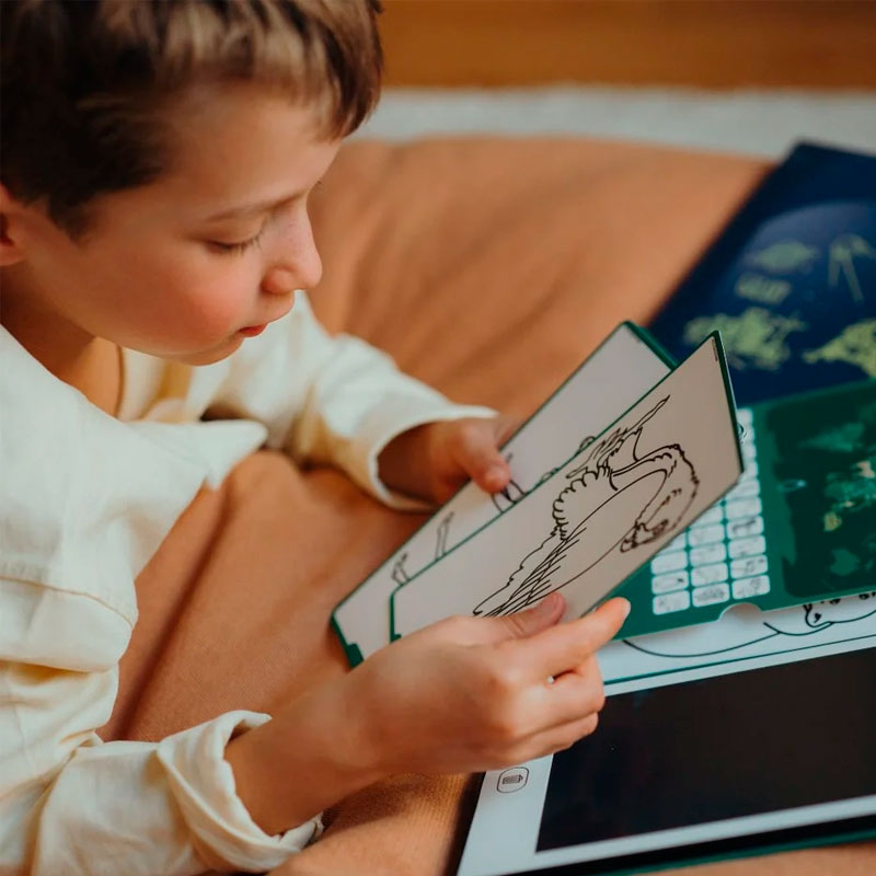 Tableta de Dibujo KIDYDRAW Animales del Mundo de KIDYWOLF - Aúpa Organics