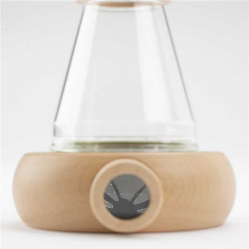 Gran Caja de Observación de Insectos de Moulin Roty - Aúpa Organics