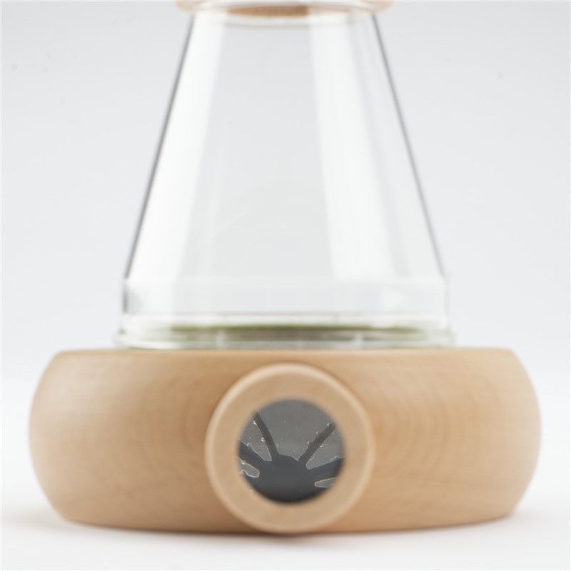 Gran Caja de Observación de Insectos de Moulin Roty - Aúpa Organics
