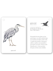 Fíjate: aves. Guía visual para reconocer aves - Aúpa Organics