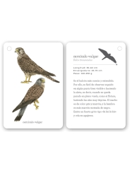Fíjate: aves. Guía visual para reconocer aves - Aúpa Organics
