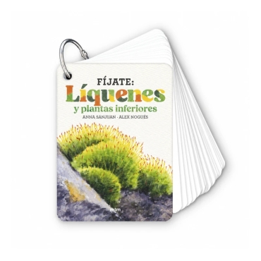 Fíjate: líquenes y plantas inferiores. Guía visual para reconocer líquenes y plantas inferiores - Aúpa Organics
