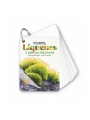 Fíjate: líquenes y plantas inferiores. Guía visual para reconocer líquenes y plantas inferiores - Aúpa Organics