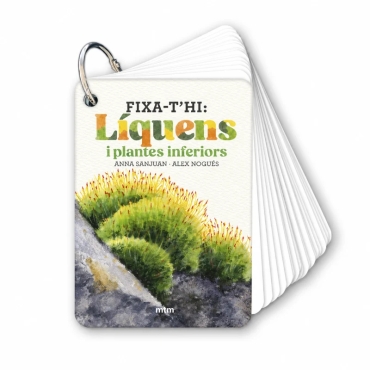 Fixa’t-hi: líquens i plantes inferiors. Guia visual per conèixer els líquens i plantes inferiors - Aúpa Organics