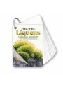 Fixa’t-hi: líquens i plantes inferiors. Guia visual per conèixer els líquens i plantes inferiors - Aúpa Organics