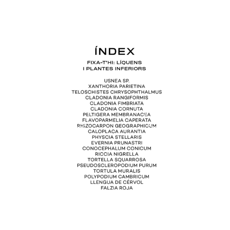 Fixa’t-hi: líquens i plantes inferiors. Guia visual per conèixer els líquens i plantes inferiors - Aúpa Organics