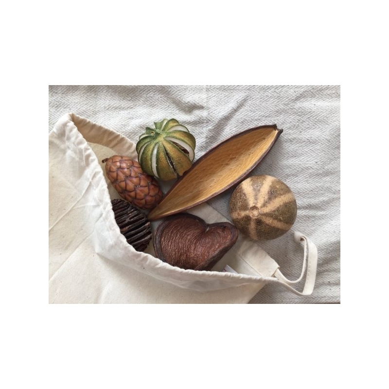 Vaina Canoa 10-14 cm