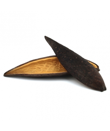 Vaina Canoa 10-14 cm Vaina Canoa 10-14 cm