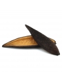 Vaina Canoa 10-14 cm Vaina Canoa 10-14 cm