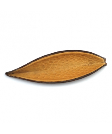 Vaina Canoa 10-14 cm Vaina Canoa 10-14 cm