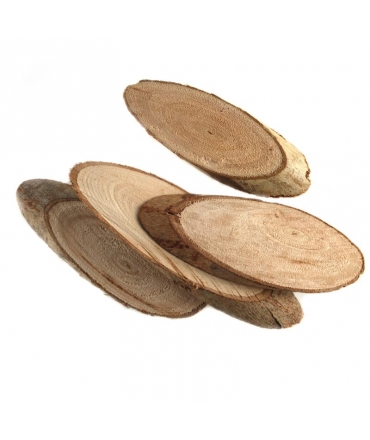 Rodaja de Madera 8-12 cm