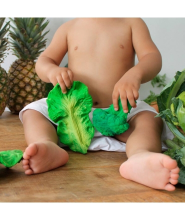 Mordedor de Caucho Natural Brucy El Brócoli Oli&Carol - Aúpa Organics