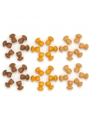 36 Piezas para Mandala - Setas Marrones