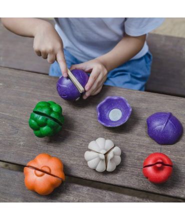 Set de Verduras de 5 Colores - Plan Toys