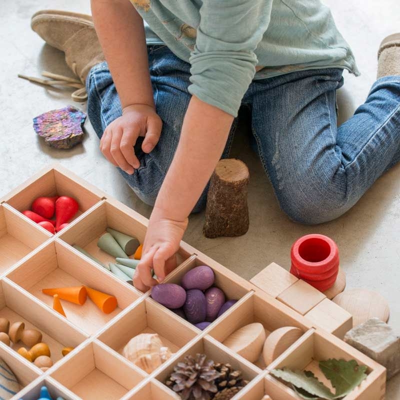 Bandeja con compartimentos - Grapat