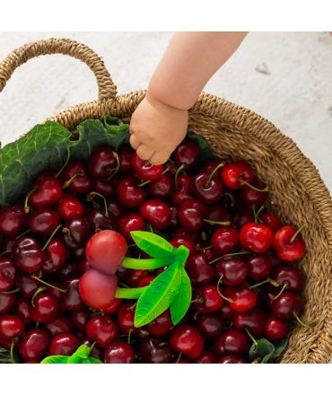 Mordedor de Caucho Natural Mery La Cereza Oli&Carol - Aúpa Organics