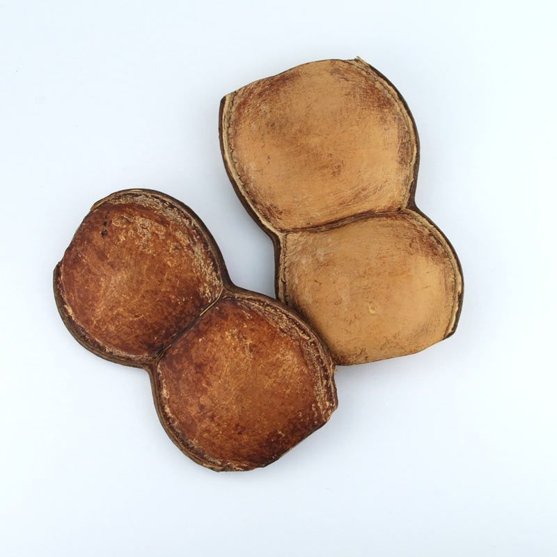 Sonajero Monkey 12-14 cm