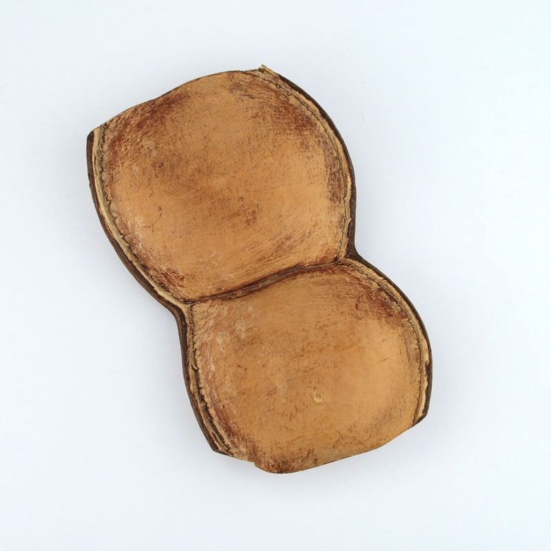 Sonajero Monkey 12-14 cm