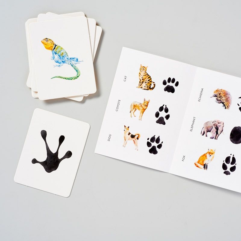 Juego de Cartas - Descubre la Huella