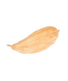 Fruto Luffa con Corteza 8-15 cm